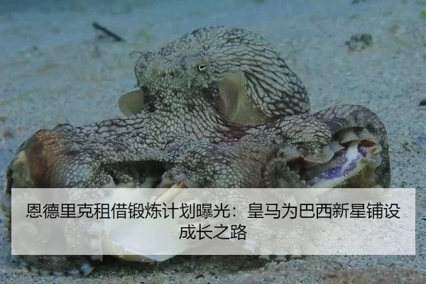 恩德里克租借锻炼计划曝光：皇马为巴西新星铺设成长之路
