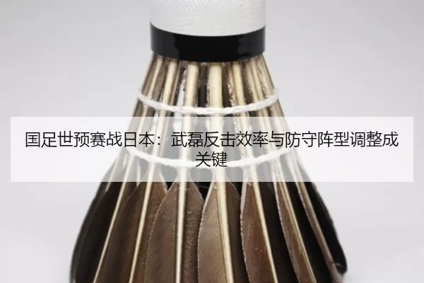 guo-zu-shi-yu-sai-zhan-ri-ben-wu-lei-fan-ji-xiao-lv-yu-fang-shou-zhen-xing-tiao-zheng-cheng-guan-jian-3-906.jpg