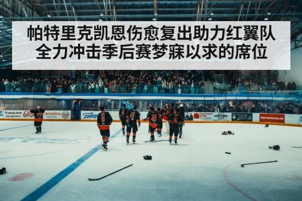帕特里克凯恩伤愈复出助力红翼队全力冲击季后赛梦寐以求的席位