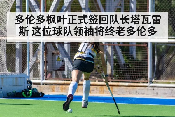 多伦多枫叶正式签回队长塔瓦雷斯 这位球队领袖将终老多伦多